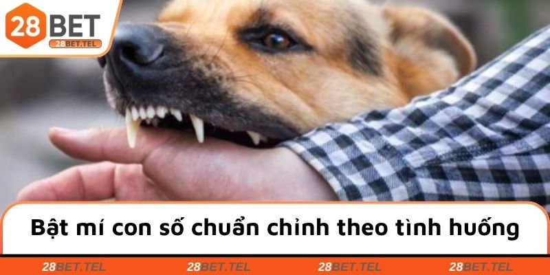 Bật mí những con số chuẩn chỉnh theo từng tình huống khác nhau