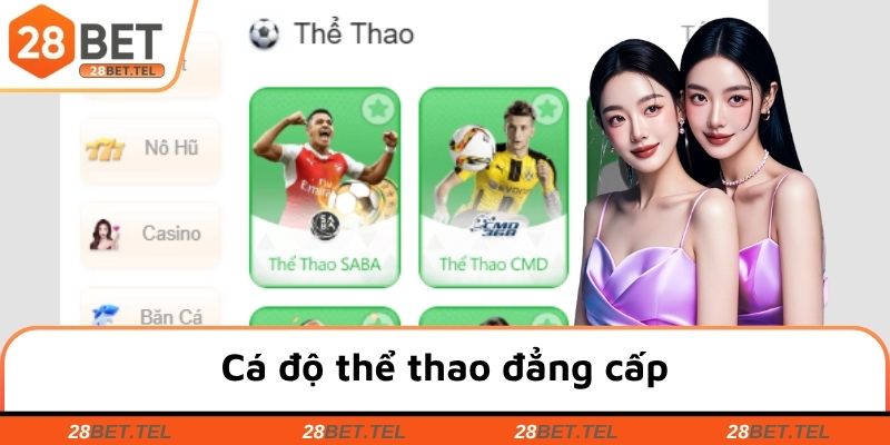 Cá độ thể thao đẳng cấp