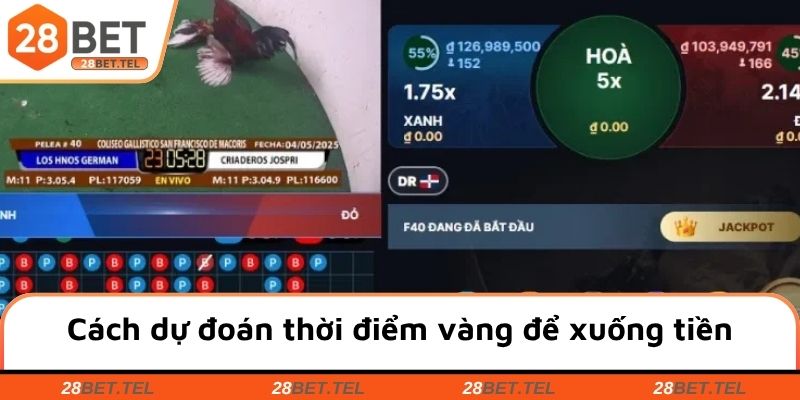 Cách dự đoán thời điểm vàng để xuống tiền