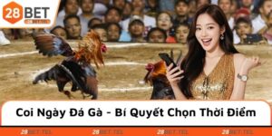 Coi ngày đá gà