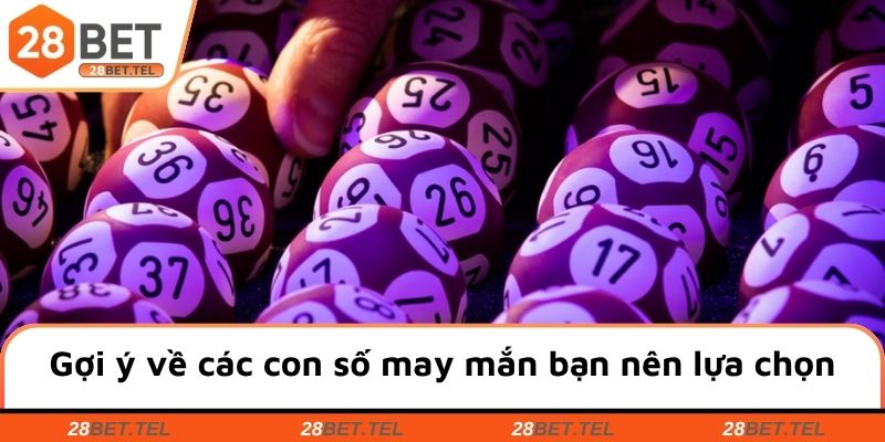 Gợi ý về các con số may mắn bạn nên lựa chọn