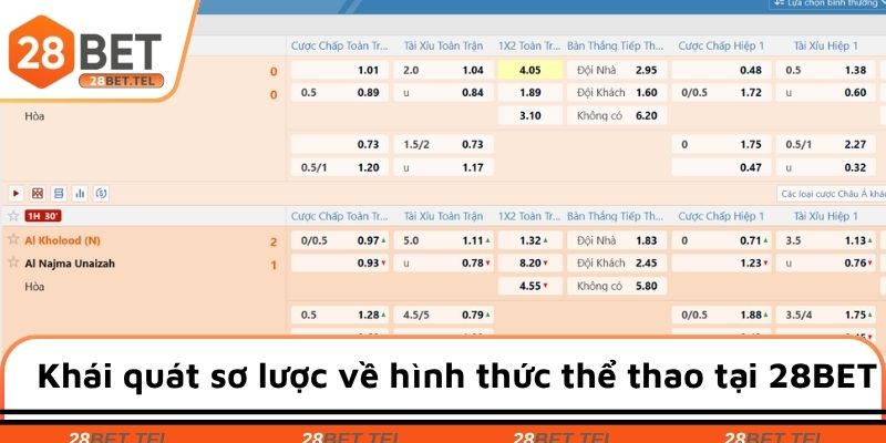 Khái quát sơ lược về hình thức thể thao tại 28BET