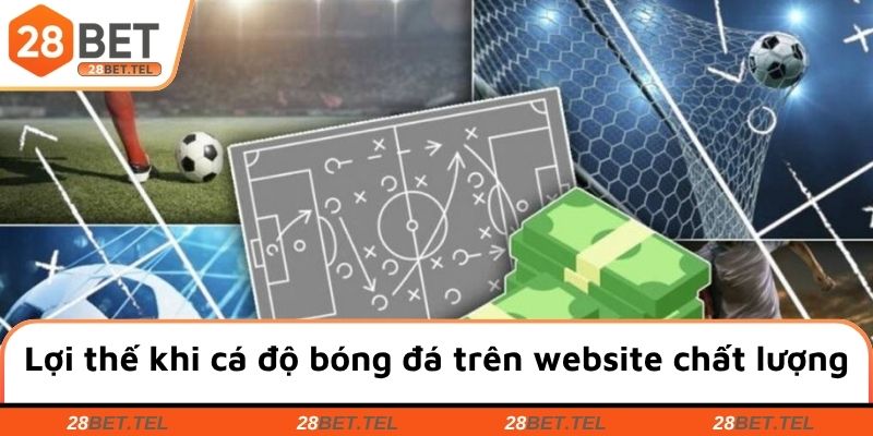 Lợi thế của việc tham gia cá độ bóng đá trên website chất lượng