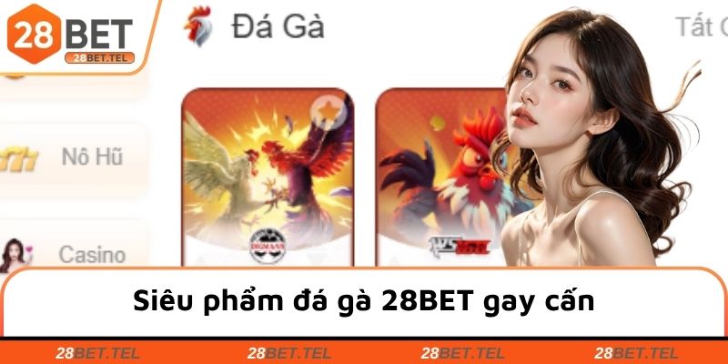 Siêu phẩm đá gà 28BET gay cấn