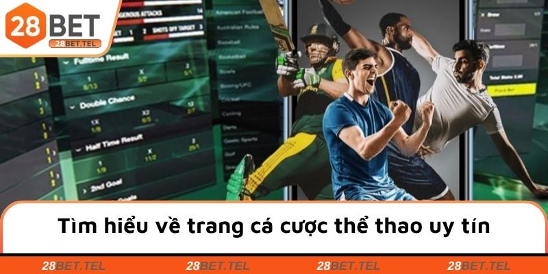 Tìm hiểu khái quát về trang cá cược thể thao uy tín