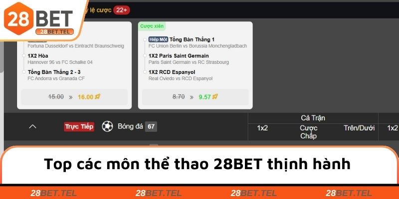 Top các môn thể thao 28BET thịnh hành