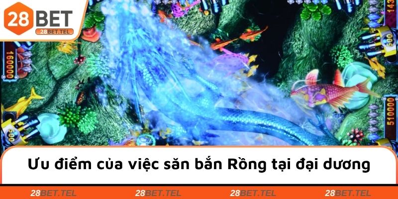 Ưu điểm của việc săn bắn Rồng tại đại dương